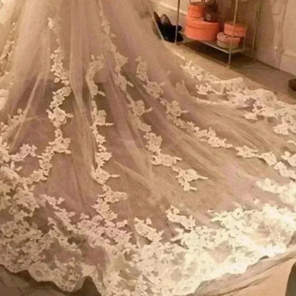 Beautiful Wedding Veil - Picture 3 of 14